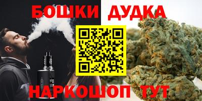 прущие крисы Камышлов