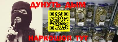 2c-b Кингисепп