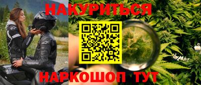 прущие крисы Камышлов