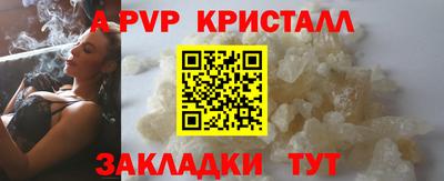 2c-b Кингисепп