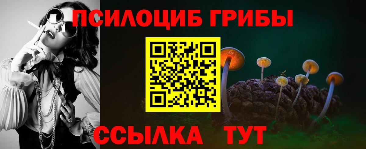 Кубинка  Галлюциногенные грибы Psilocybine cubensis  наркошоп  Вход с VPN 