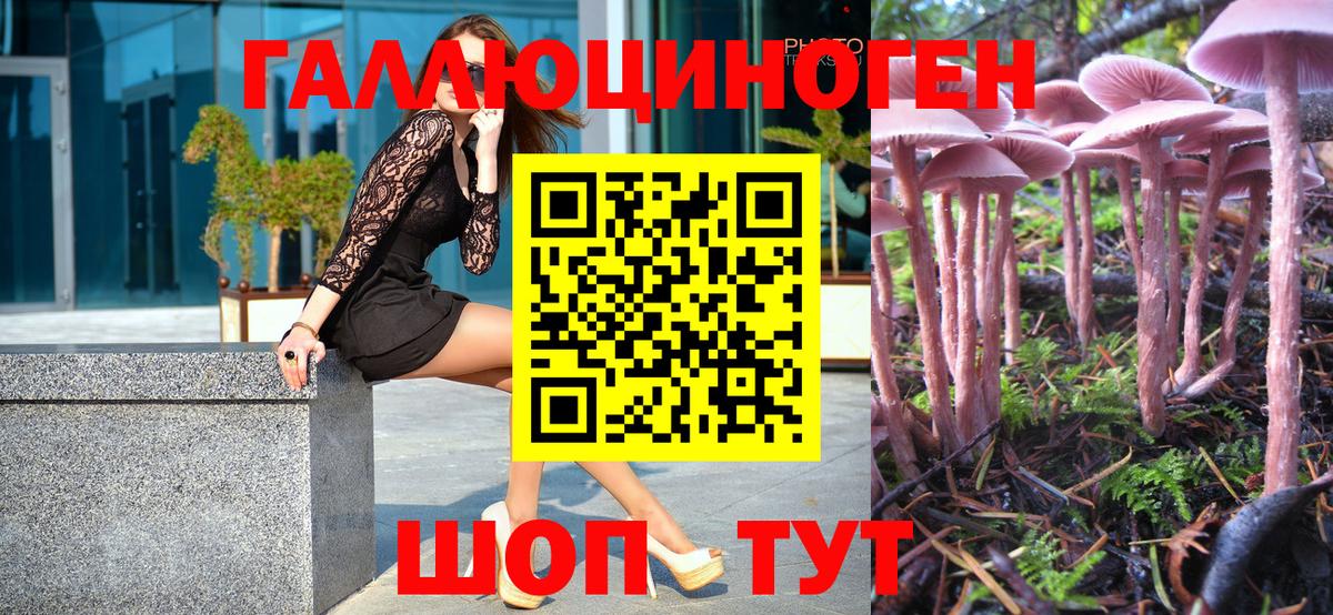 Псилоцибиновые грибы мицелий Кубинка